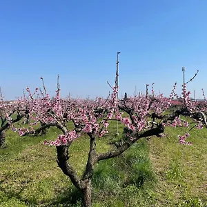 Alloggio per agriturismo Corte Vecia Della Corte, Verona